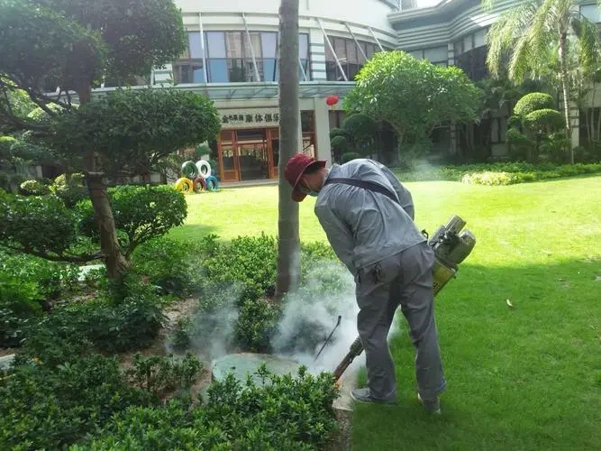 u=2294344454,3492351775&fm=253&fmt=auto&app=138&f=JPEG.webp.jpg